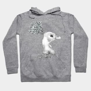 Graphic Peacock Illustration Hoodie